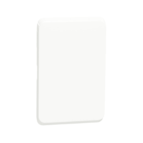 Schneider Iconic Cover Plate Blank 100x50 White 4042GC_XW
