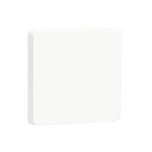 Schneider Iconic Cover Plate Blank 100x100 White 4044GC_XW