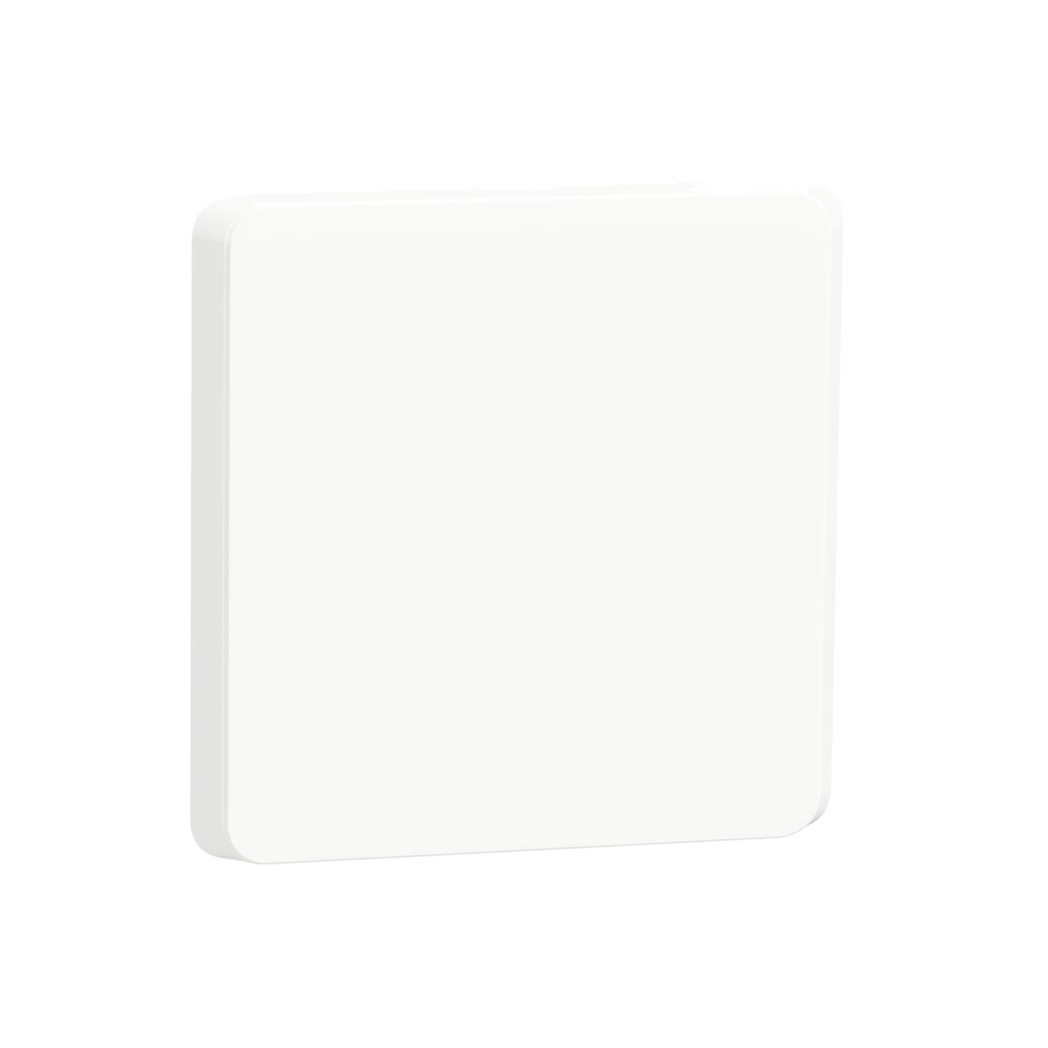 Schneider Iconic Cover Plate Blank 100x100 White 4044GC_XW