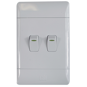 CBI Switch 2 Lever One Way 100x50 L122-P