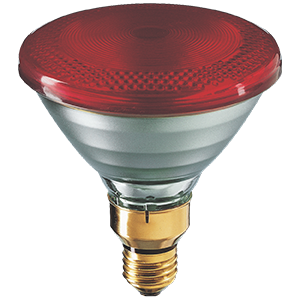 Philips Incandescent Infrared Lamp 175W E27